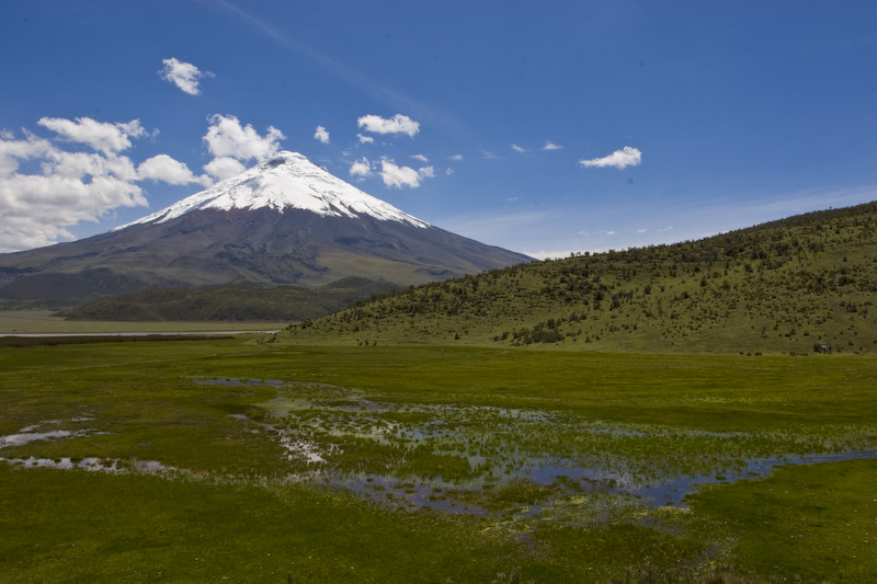 Cotopaxi